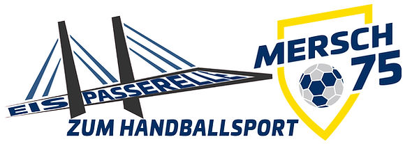 NEW Eis Passerelle zum Handballsport.jpg