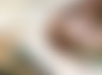 初ブログに思いを寄せて