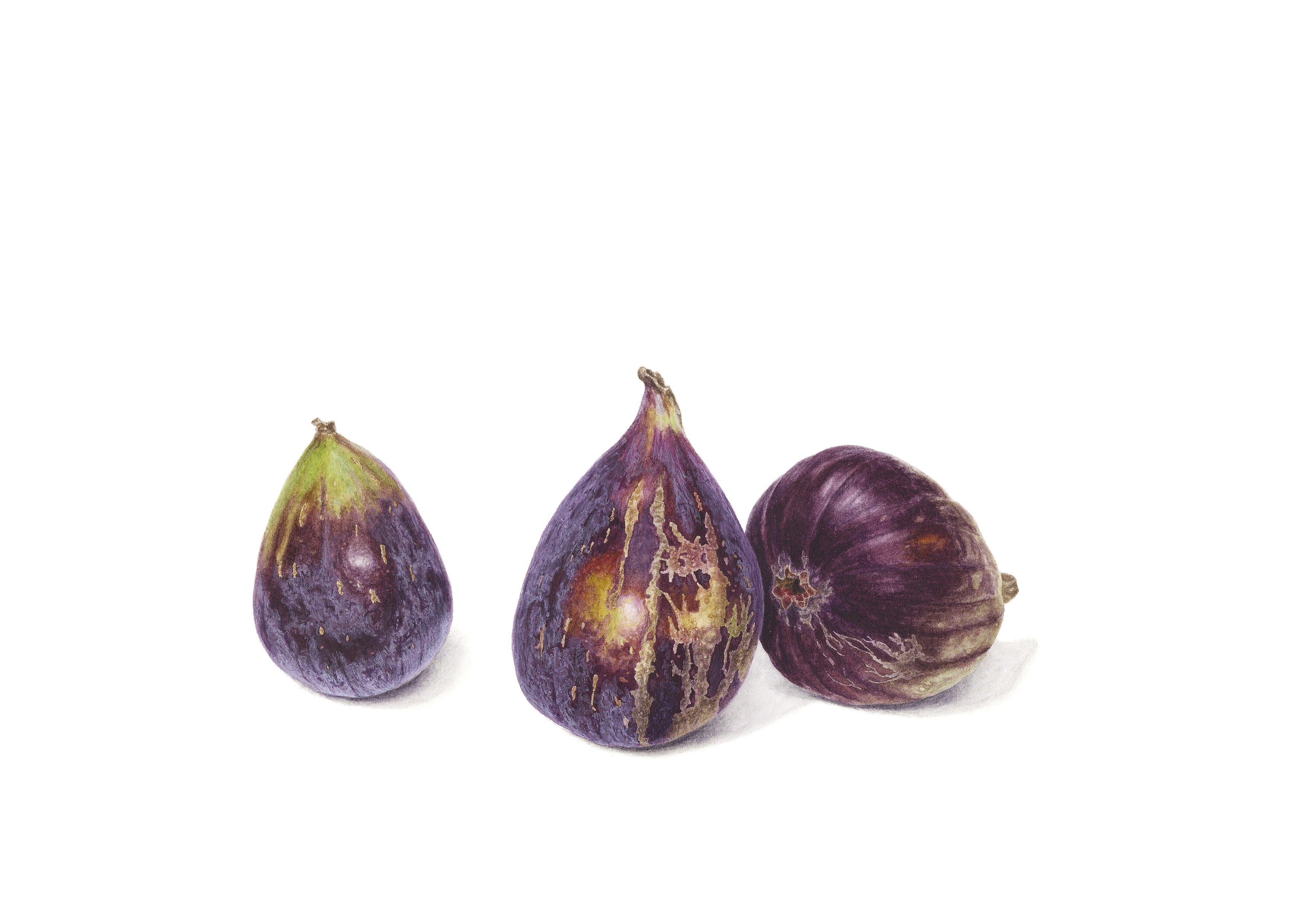 Black genoa figs