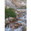 Thumbnail: Double Sided Bookmark - Waterfall / Indian Paintbrush