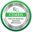Certified Youth Mental Health Specialist