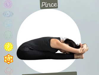 ✨ Paścimotānāsana (पश्चिमतानासन) - Posture de la Pince Assise ✨