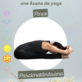 ✨ Paścimotānāsana (पश्चिमतानासन) - Posture de la Pince Assise ✨