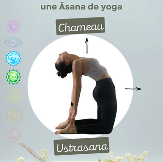 ✨ Ustrasana (उष्ट्रासन) - La Posture du Chameau ✨