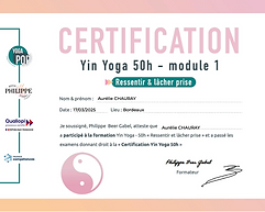 CERTIFICATION Yin Yoga 50H délivrée par Yoga Pop sous la direction de Philippe Beer-Gabel