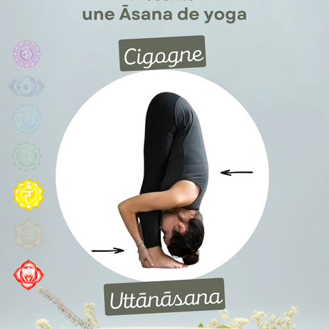 ✨ Uttanasana (उत्तानासन) - La Cigogne ✨