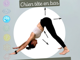 ✨Adho Mukha Śvānāsana (अधो मुख श्वानासन) - la Posture du Chien tête en bas✨