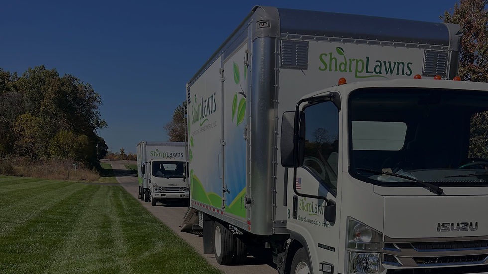 truck2.jpg