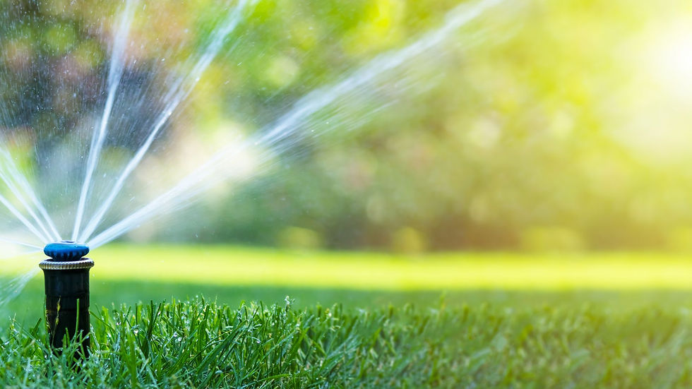 lawn water.jpg
