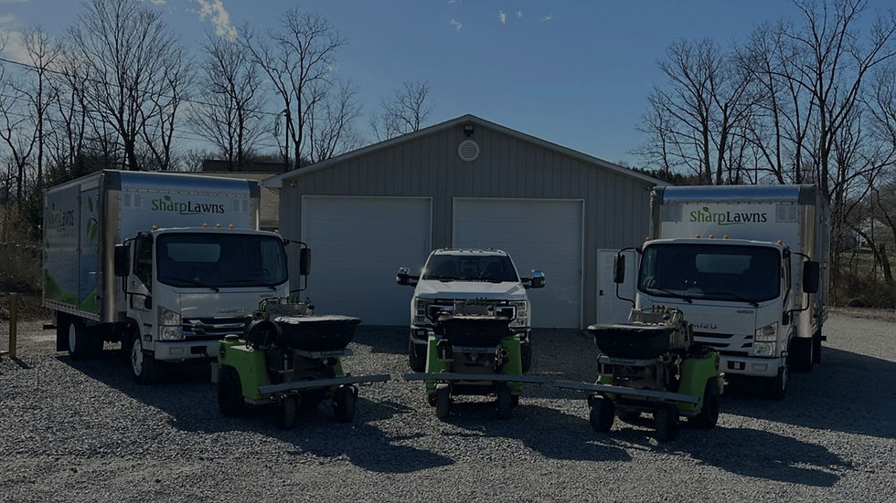 trucks.jpg