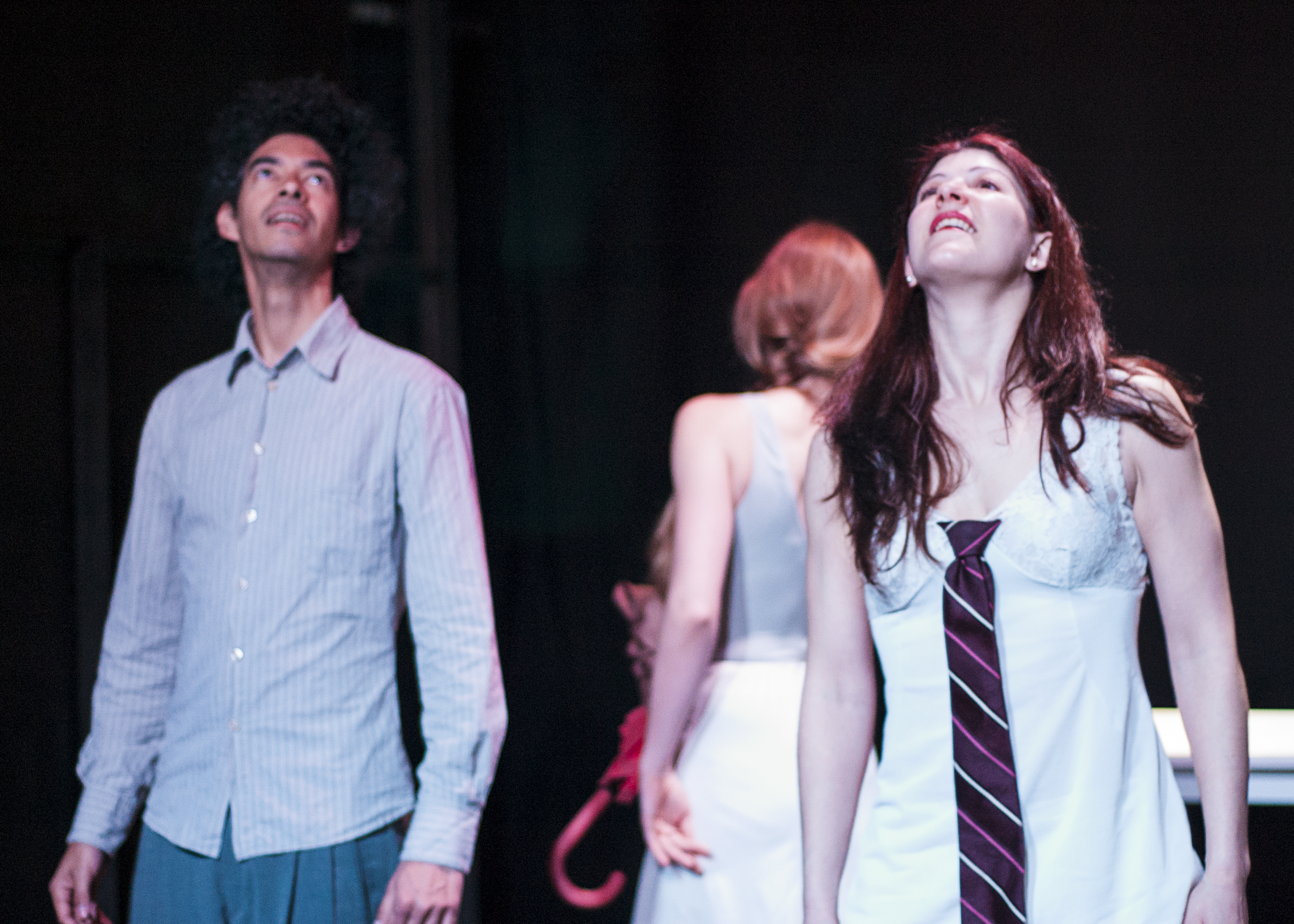 Naturaleza muerta con fondo blanco · Fholia Teatro