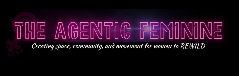 TAF Website Homepage Banner 3.26.png