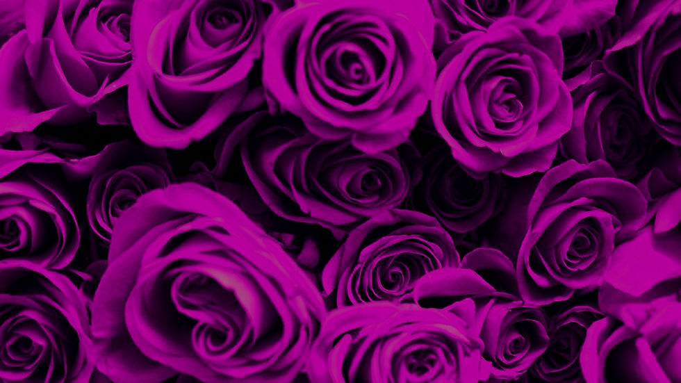 PURPLE ROSES_edited_edited_edited.jpg