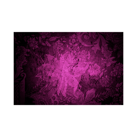 Sisterhood of ReWilding Women