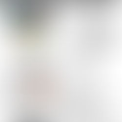 1.11.2026 - Bulletin