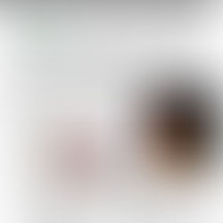 12.7.2025 - Bulletin