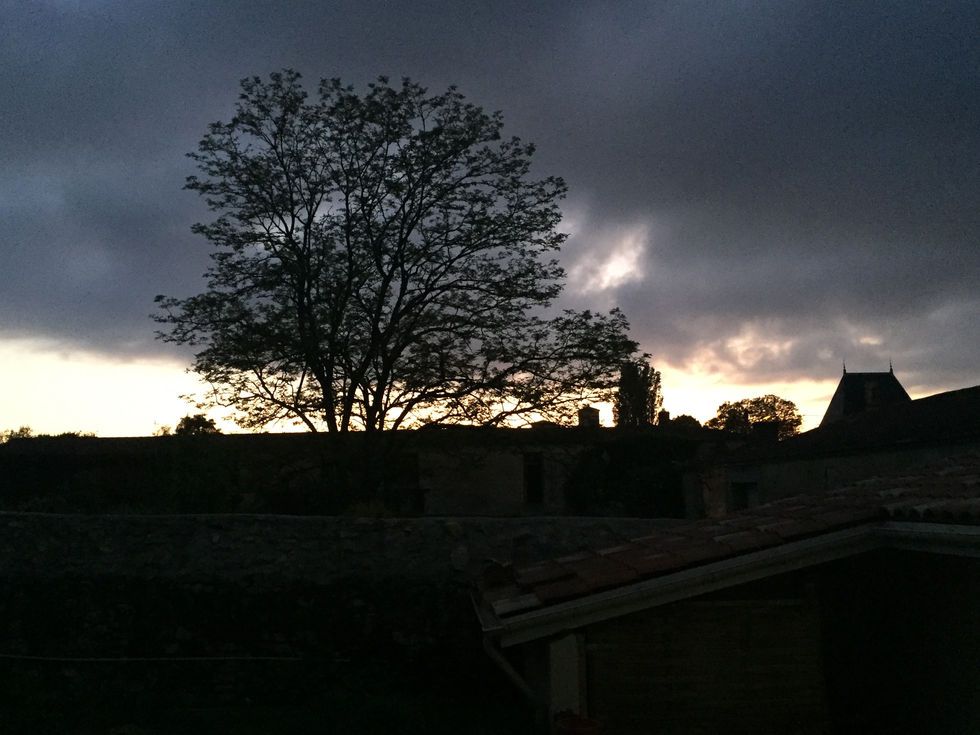 IMG_4122 - Copie.JPG