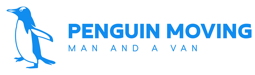Color logo with background.png