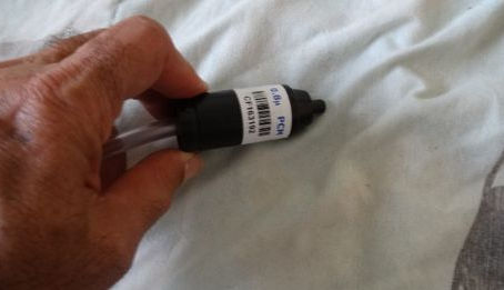 How do molds affect people?