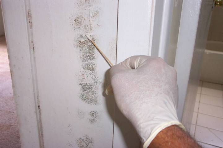 Mold Assessment: How do you know if mold is present?