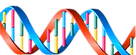 dna-string-multlour-11552764131pqwwjyiov