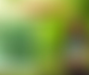 Magic Slim lấy lại vóc dáng sau những bữa tiệc