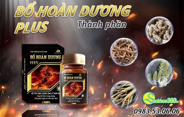 Bổ Hoàn Dương Plus với các từ thảo dược quý hiếm