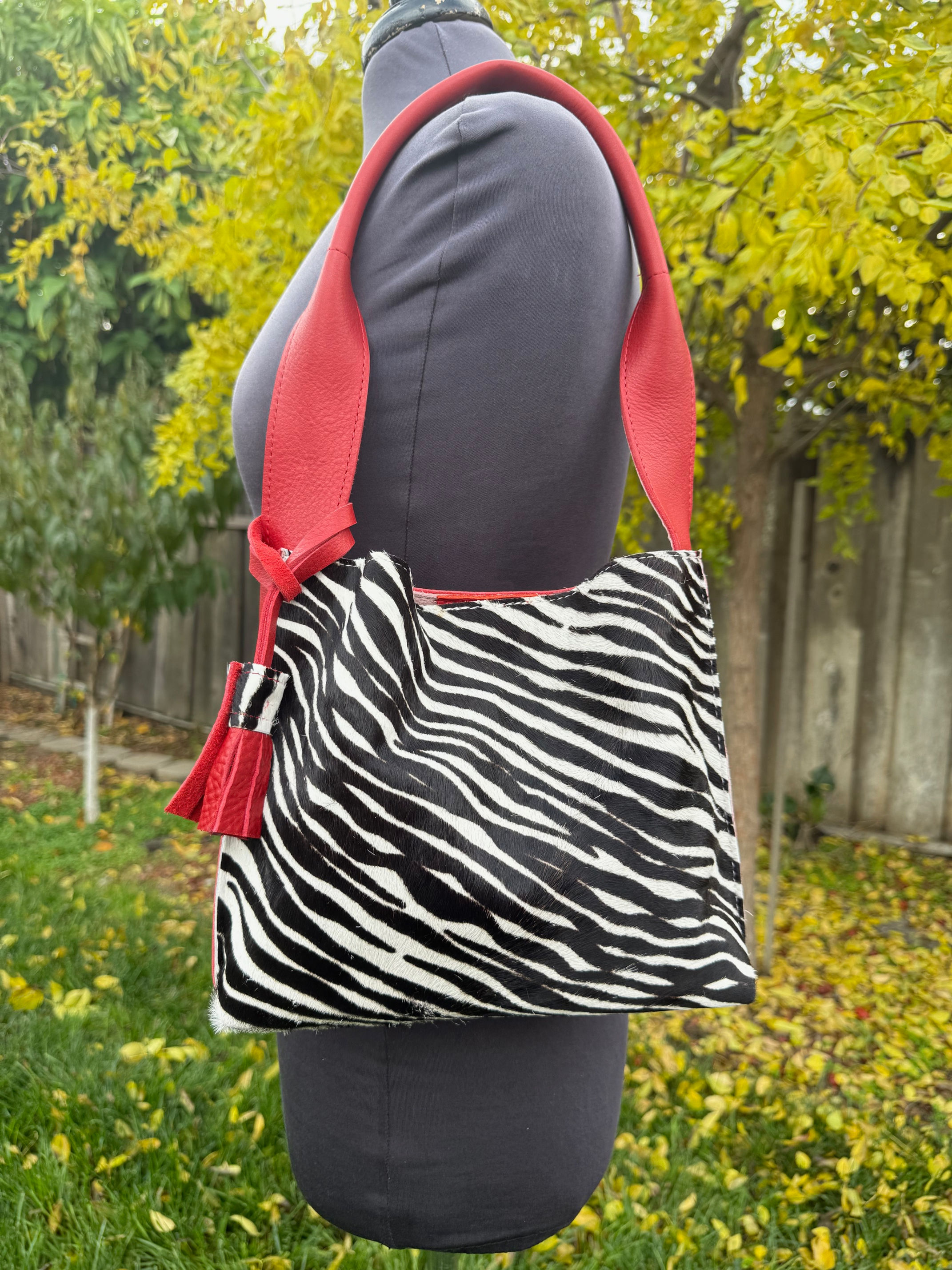 Hair on hide - Zebra with red