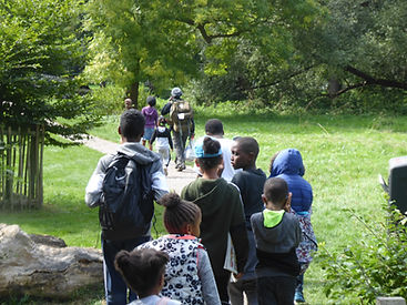 Healthy Life Skills Summer Camp 2018