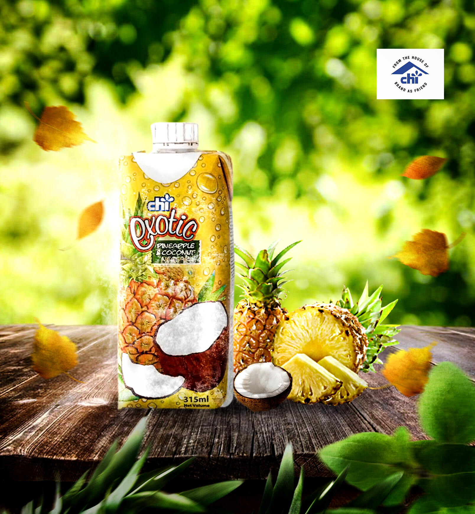 Arranged Food and Objects