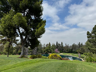 IMG_5768.JPG