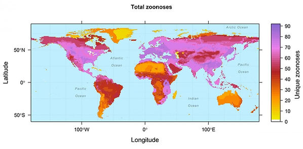 Zoonoses prevalence Han et al 2016