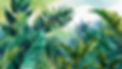 Leonardo_Phoenix_loose_tropical_water_color_for_eco_tourism_co_0 (2).jpg