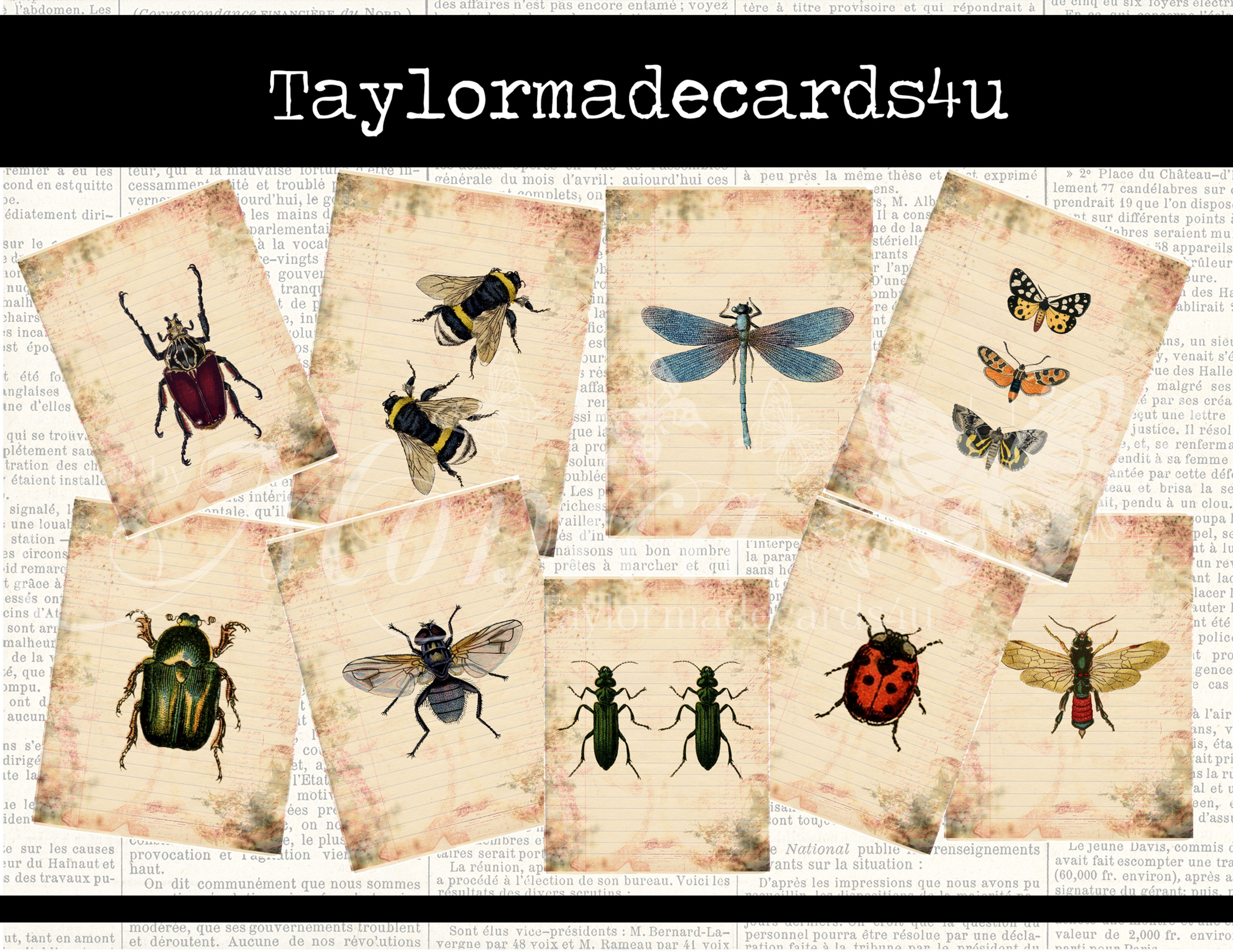 Bug ATC Cards