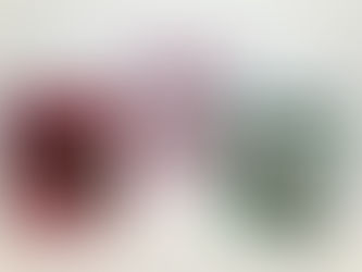 A new item in the shop