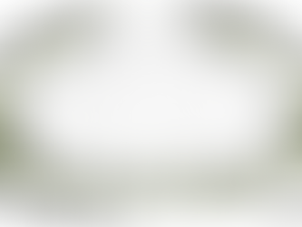 French Corset Typography Ribbon