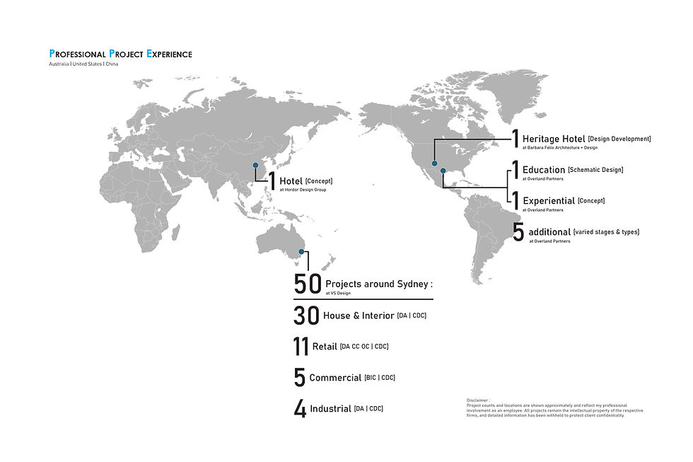 Global Professional Experience