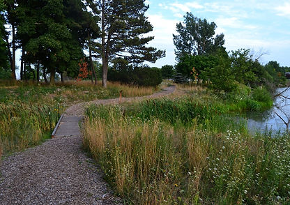2_HP After_Woodland Galde (1).jpg
