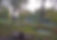 2_ECP After_Vernal Pool.jpg