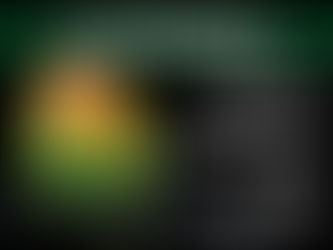 How to Create a Habitat for Your Lovebird?