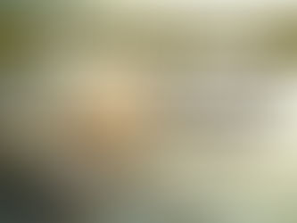 Jumping Spider Care Guide Beginners Ke Liye