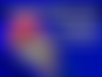  Mealworm as treats for Flowerhorn