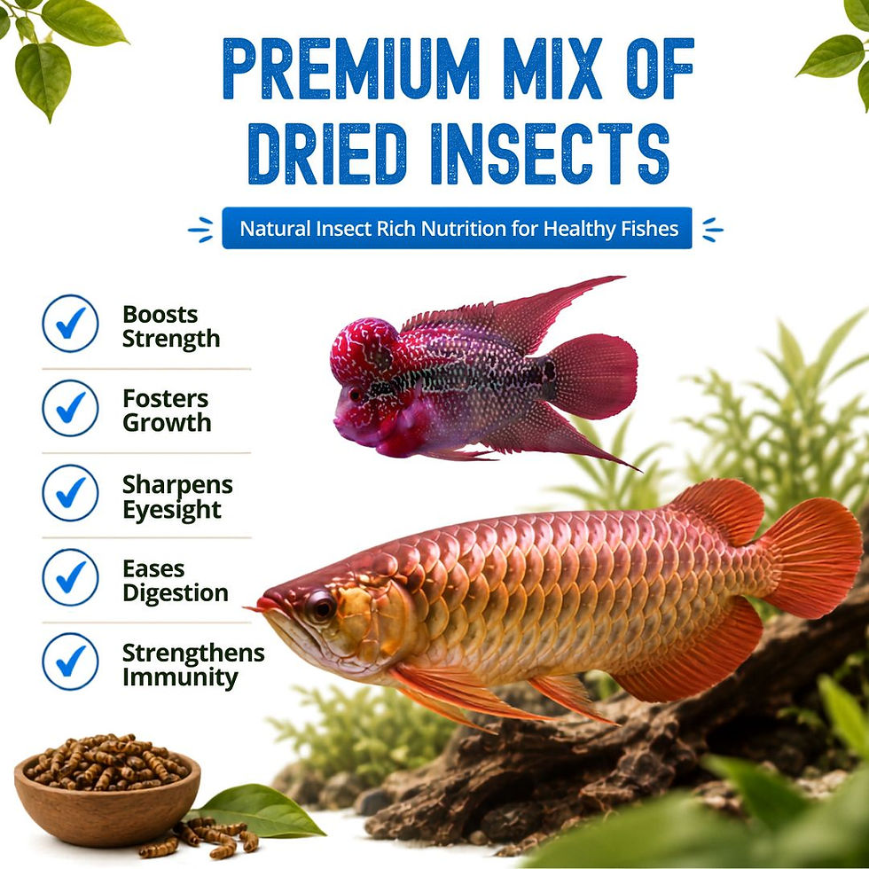 Thumbnail: Dried Medley Treat for Fishes