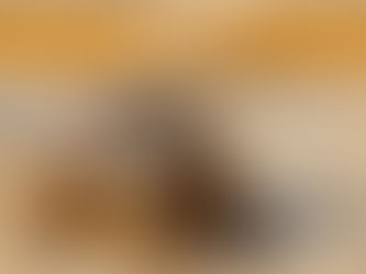 How to Create the Best Tank for Your Aquatic Turtle