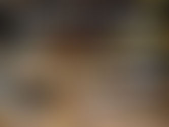 Do Tarantulas Bite Humans?