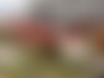 Kya Mealworms Backyard Hens Ki Egg Production Badhaate Hain?