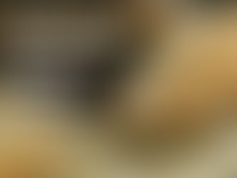 The Ultimate Guide to Breeding Oscar Fish