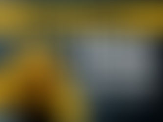 How To Care  Dart Frog?