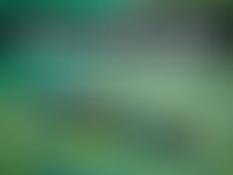 Alligator Gar Summer Care Guide for Large Tank Heat Management