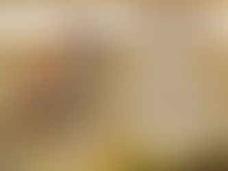 चिमणीच्या पिल्लाचे संगोपन आणि काळजी कशी घ्यावी? 